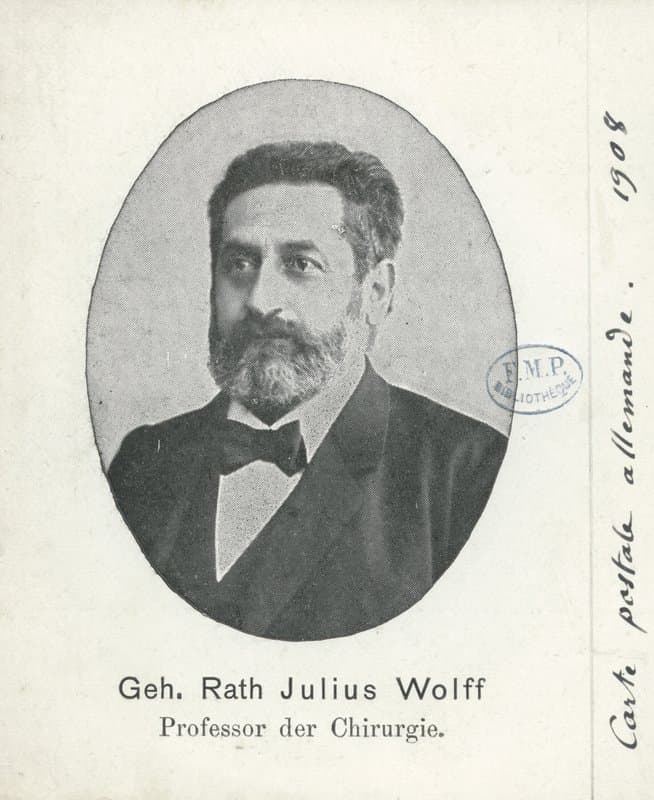 A 1908 German postcard portrait of the surgeon Julius Wolff, bearded, in a dark suit and bow tie